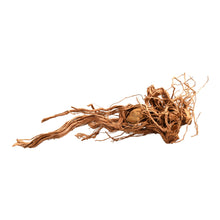 Aqpet Zen Wood Azalea Dragon Legno Naturale Per Arredo In Acquario