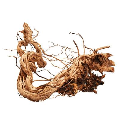 Aqpet Zen Wood Azalea Dragon Legno Naturale Per Arredo In Acquario