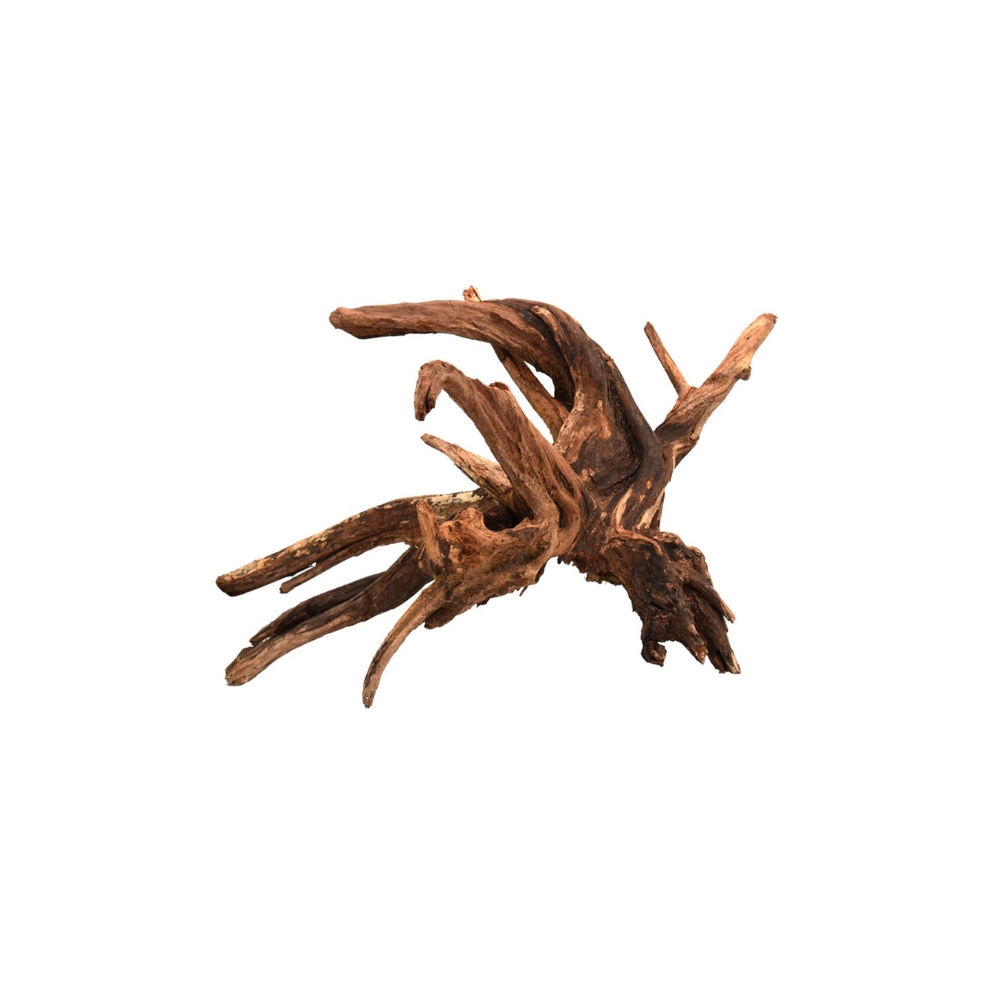 Aqpet Zen Wood Drift Legno Naturale Per Arredo In Acquario