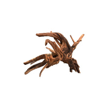 Aqpet Zen Wood Drift Legno Naturale Per Arredo In Acquario