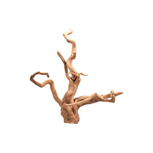 Aqpet Zen Red Wood Legno Naturale Per Arredo In Acquario
