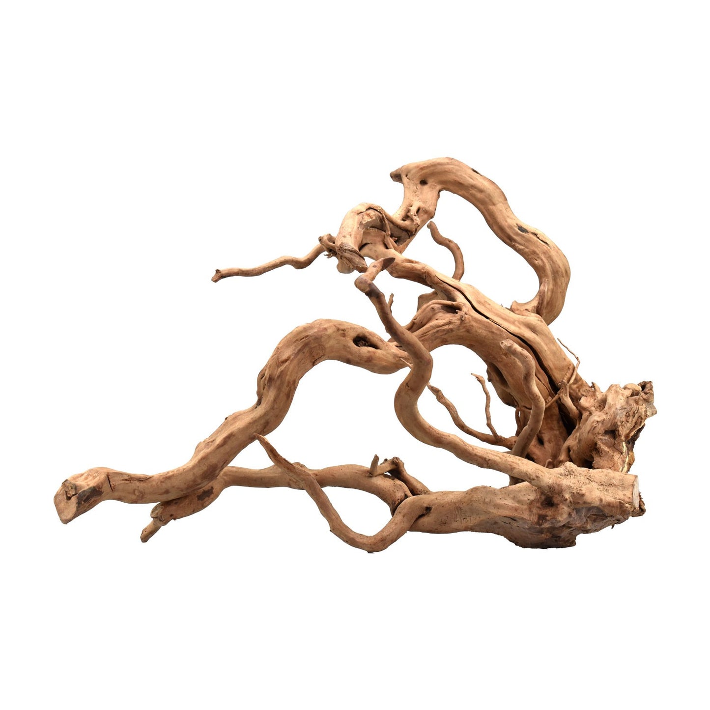 Aqpet Zen Red Wood Legno Naturale Per Arredo In Acquario