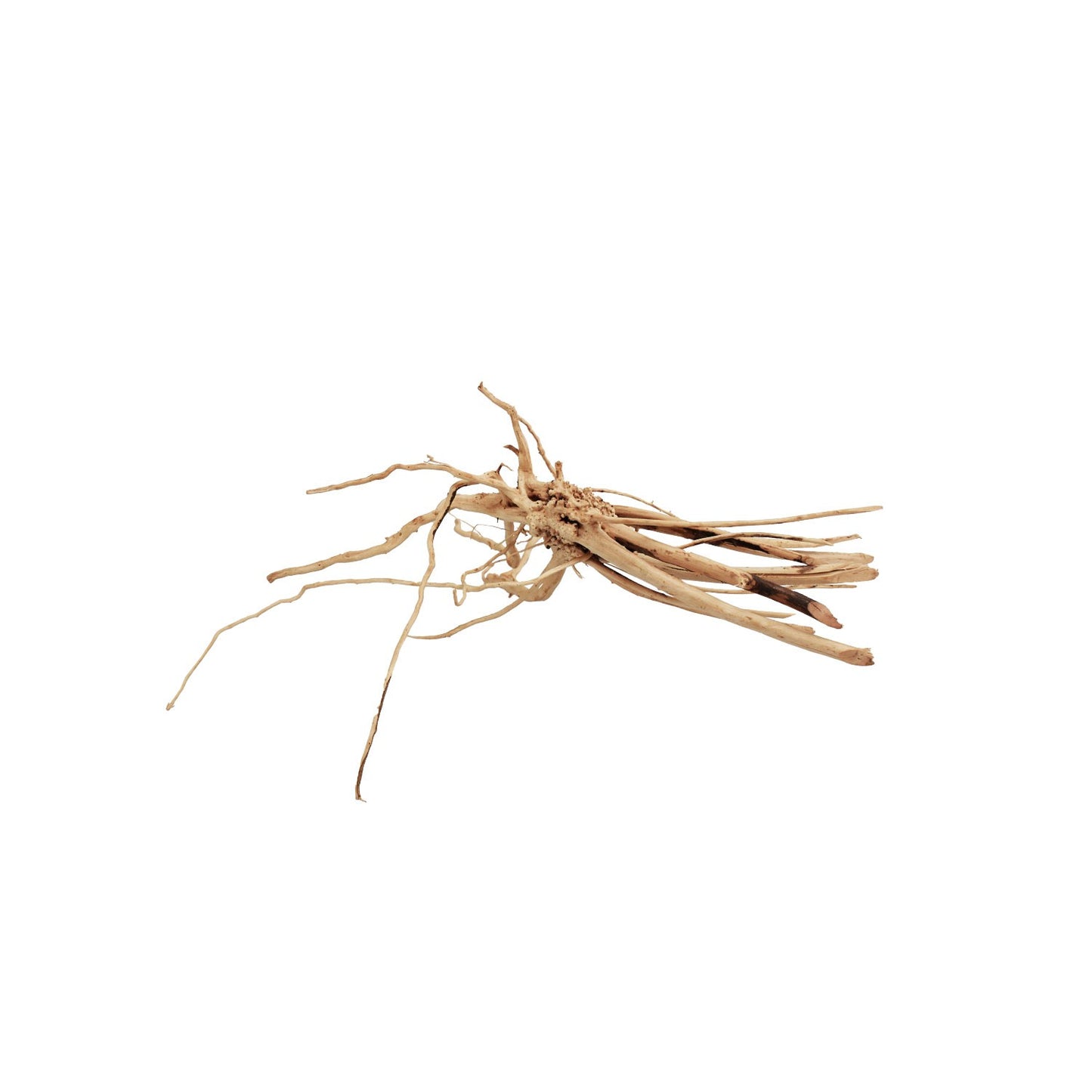 Aqpet Zen Wood Slim Legno Naturale Per Arredo In Acquario