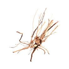 Aqpet Zen Wood Slim Legno Naturale Per Arredo In Acquario