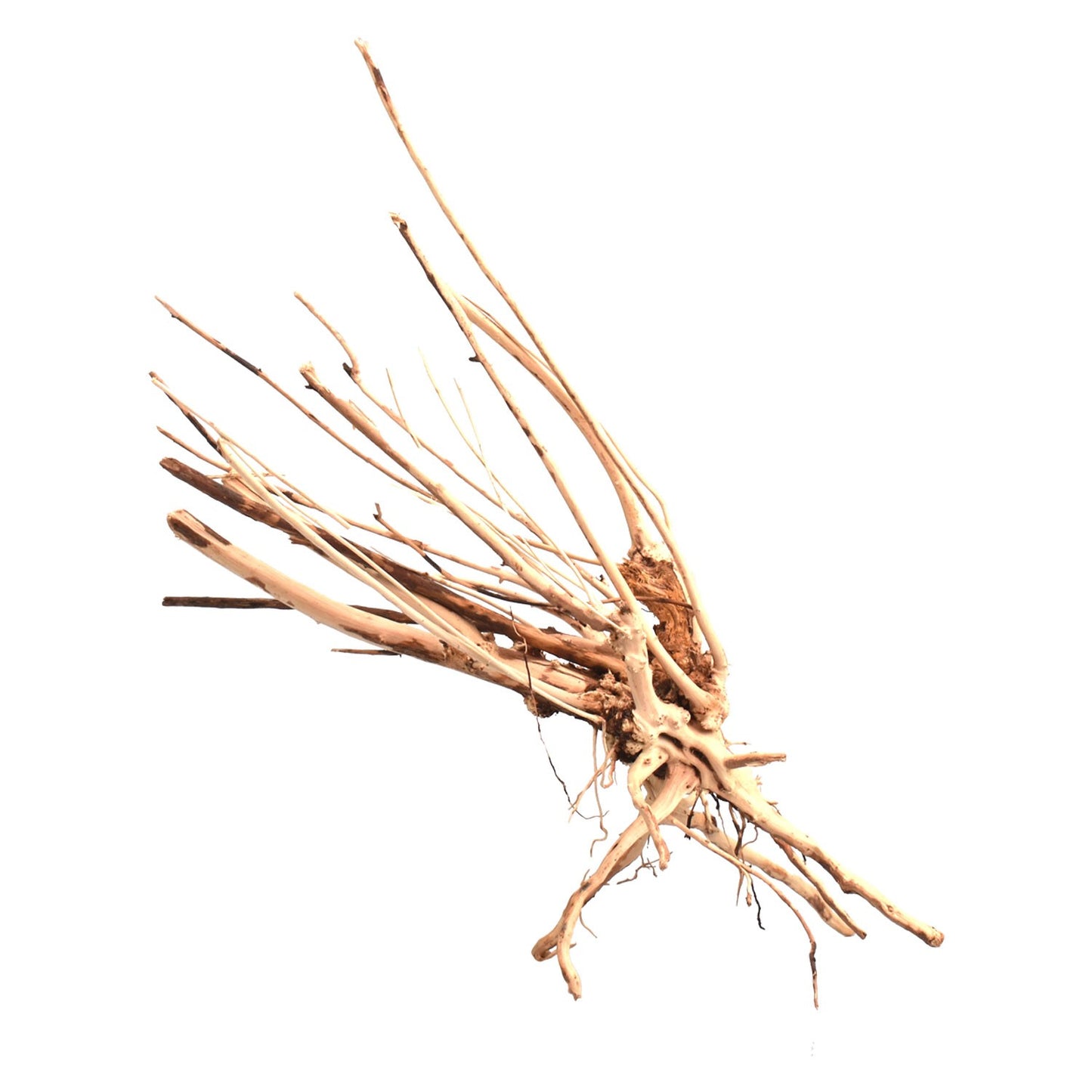 Aqpet Zen Wood Slim Legno Naturale Per Arredo In Acquario