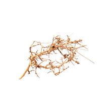 Aqpet Zen Wood Tiny Legno Naturale Per Arredo In Acquario