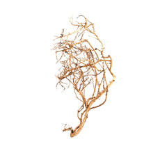 Aqpet Zen Wood Tiny Legno Naturale Per Arredo In Acquario
