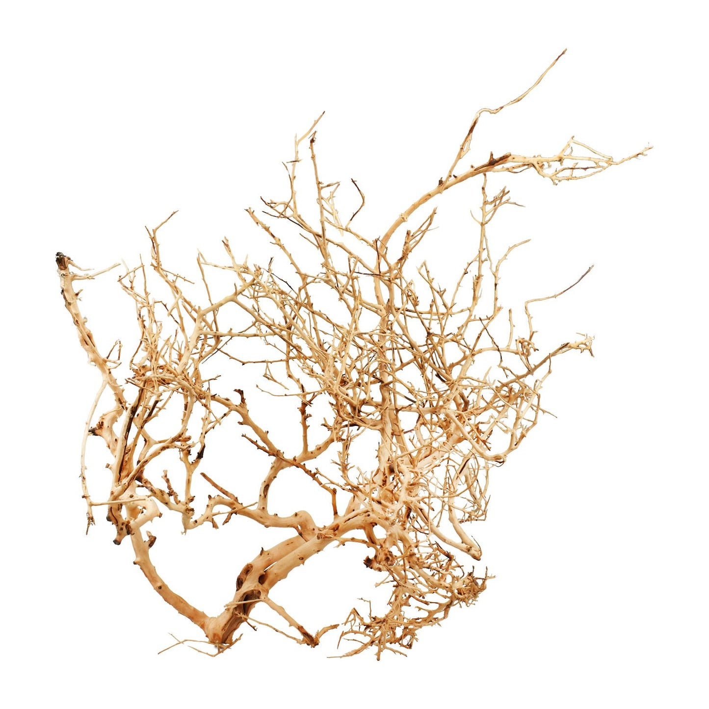 Aqpet Zen Wood Tiny Legno Naturale Per Arredo In Acquario