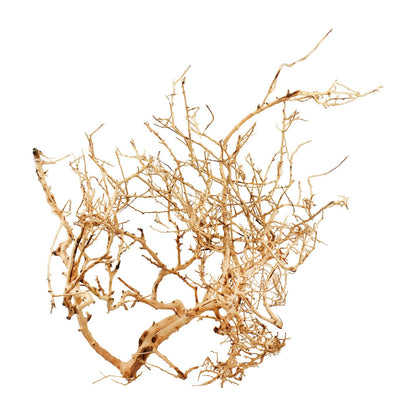 Aqpet Zen Wood Tiny Legno Naturale Per Arredo In Acquario