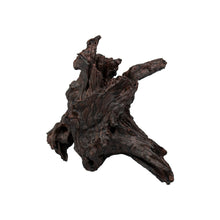 Aqpet Decorart Decorazioni Per Acquari Mod. Black Roots