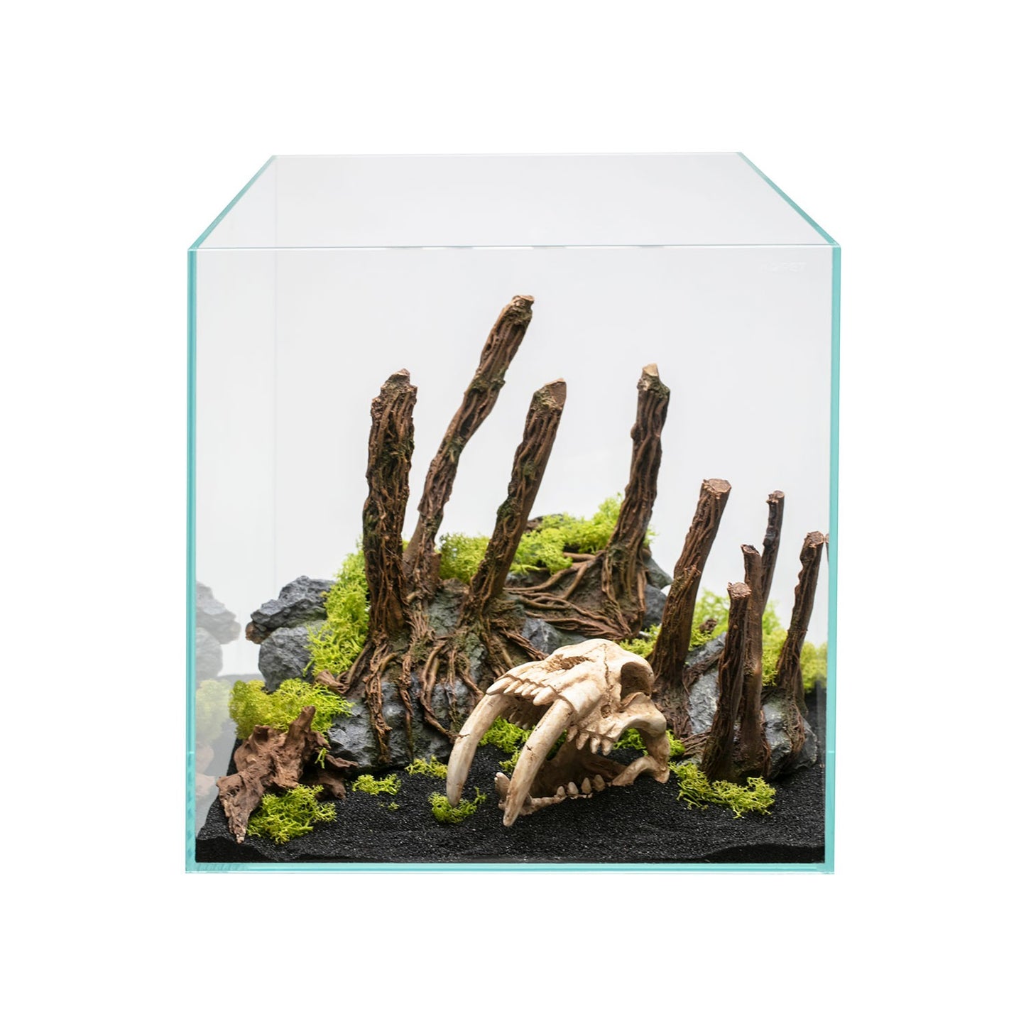 Aqpet Decorart Decorazioni Per Acquari Mod. Fossil Skull