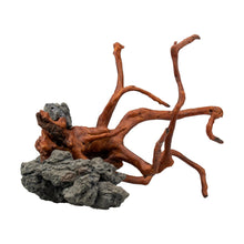 Aqpet Decorart Decorazioni Per Acquari Mod. Red Roots