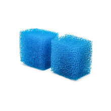 Aqpet Ricambio Spugna Bio Neptune