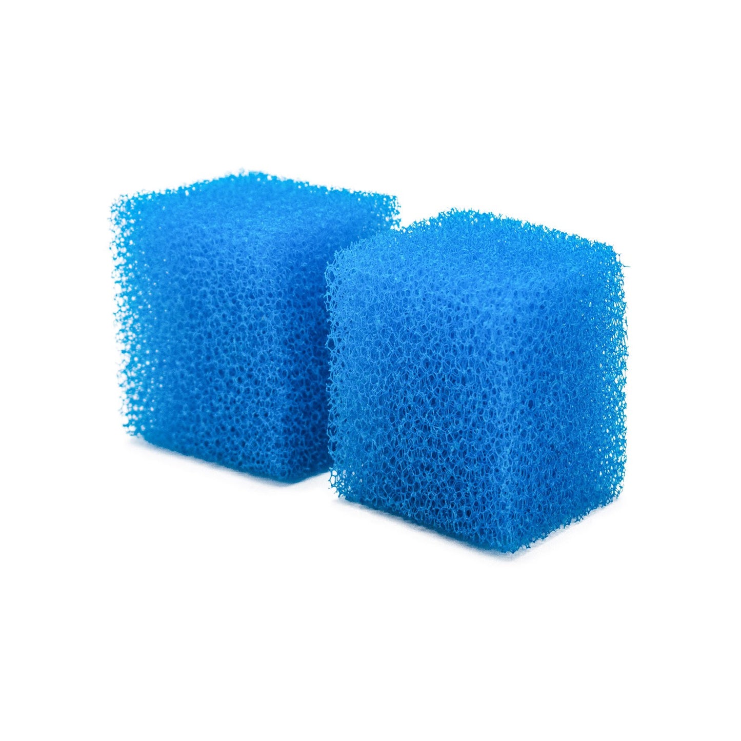 Aqpet Ricambio Spugna Bio Neptune