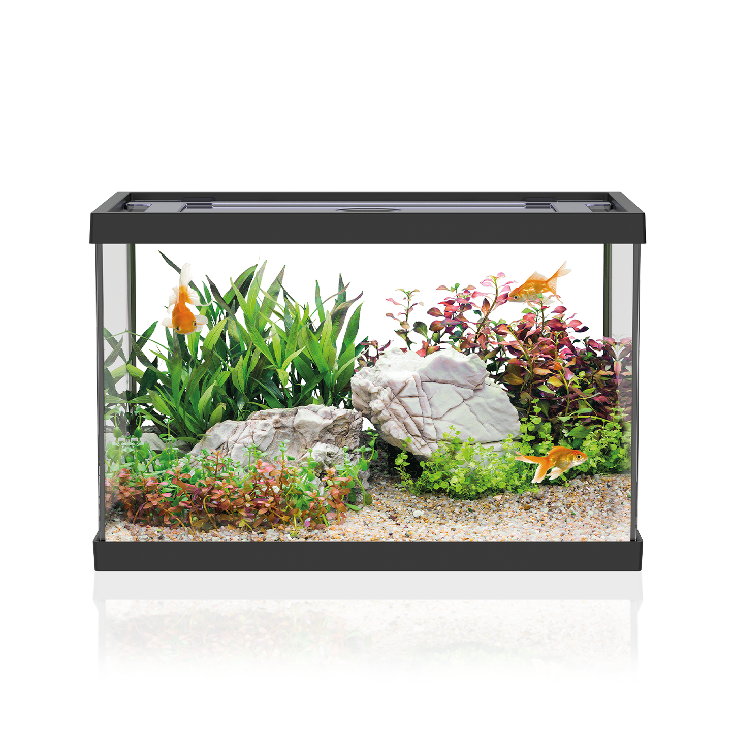 Aqpet One Mini Acquario Completo In Vetro Nero