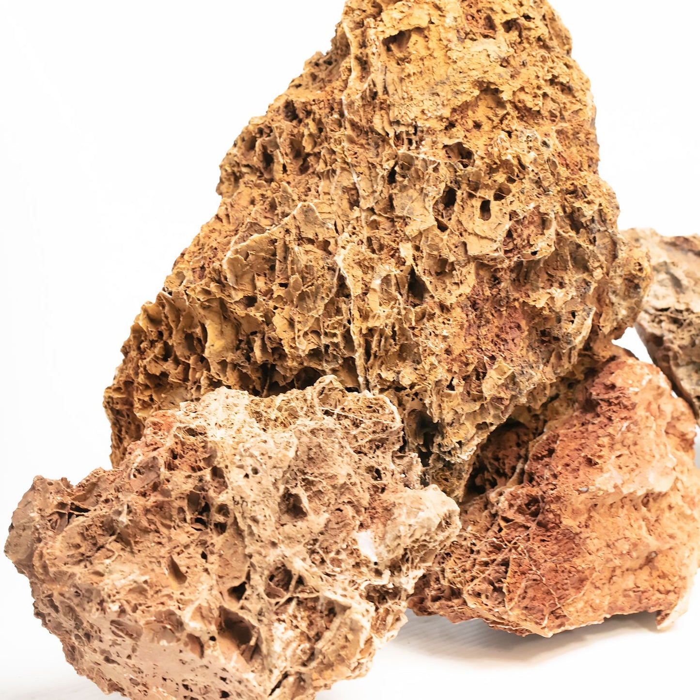 Aqpet Zen Stone Maple Roccia Naturale Per Arredo In Acquario