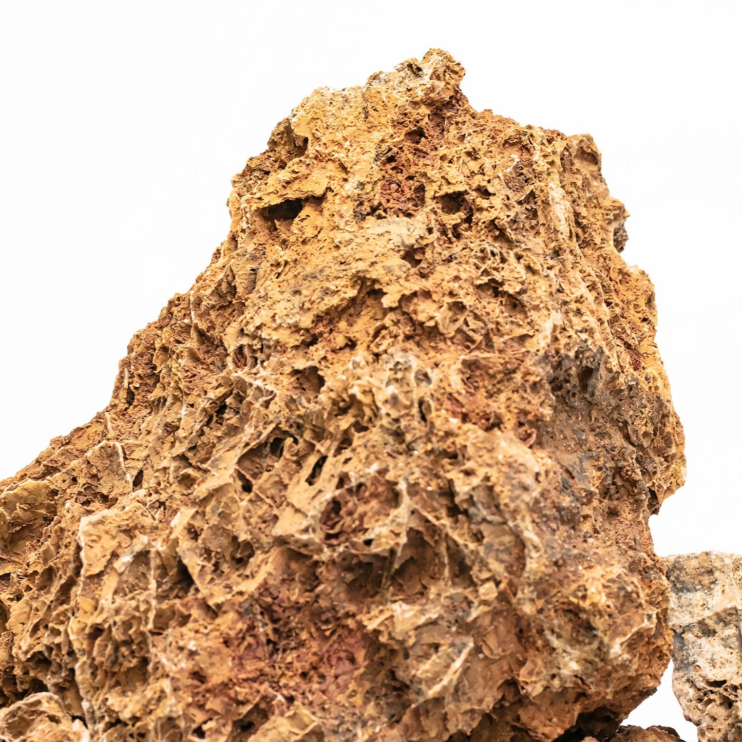 Aqpet Zen Stone Maple Roccia Naturale Per Arredo In Acquario