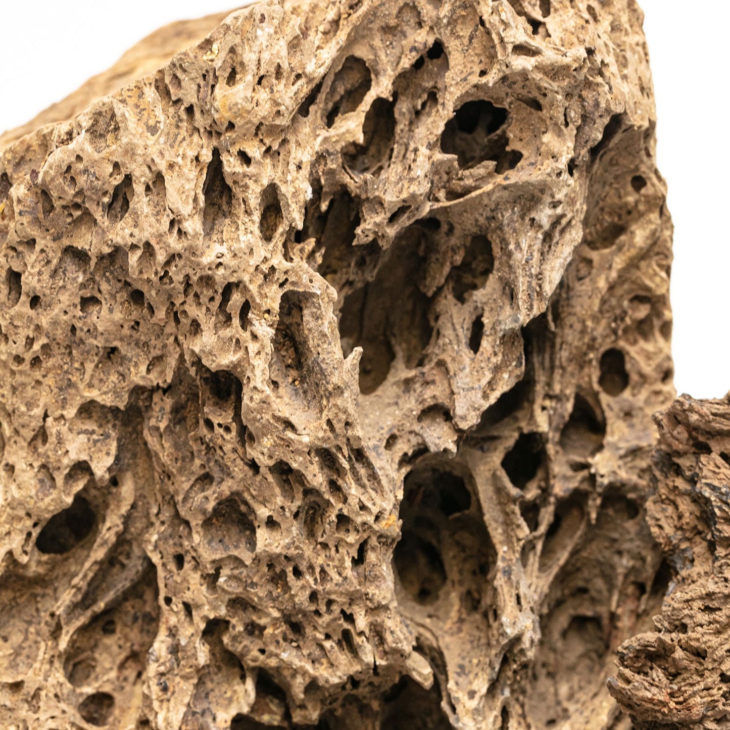 Aqpet Zen Stone Firework Roccia Naturale Per Arredo In Acquario