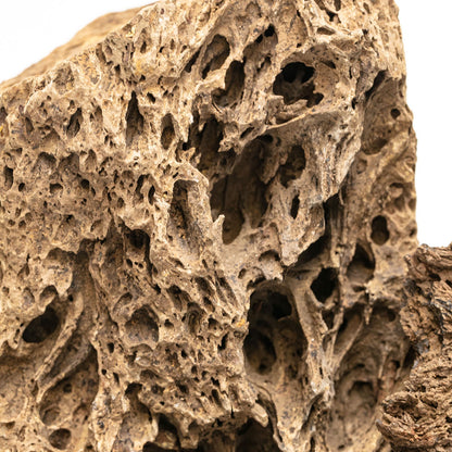 Aqpet Zen Stone Firework Roccia Naturale Per Arredo In Acquario