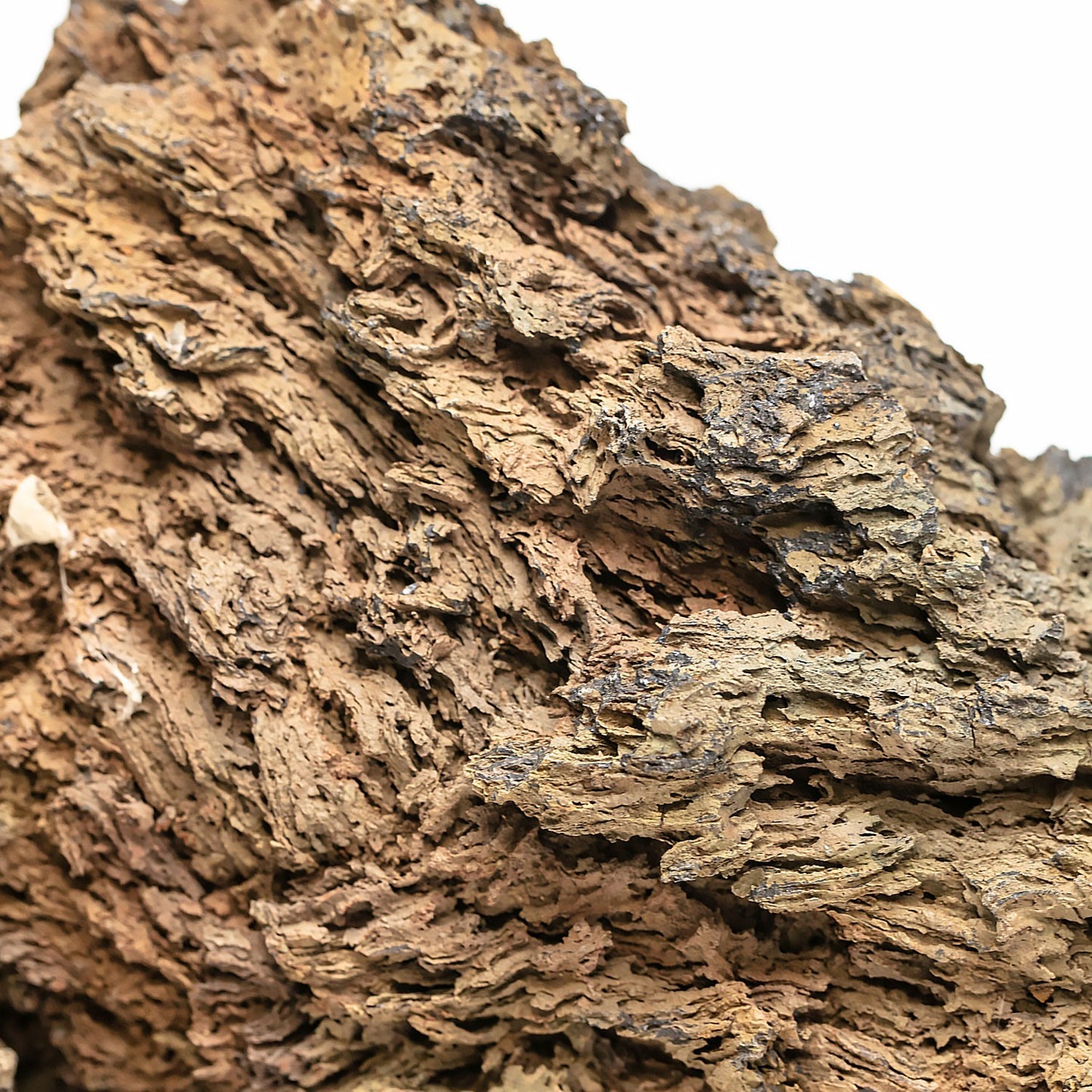 Aqpet Zen Stone Firework Roccia Naturale Per Arredo In Acquario
