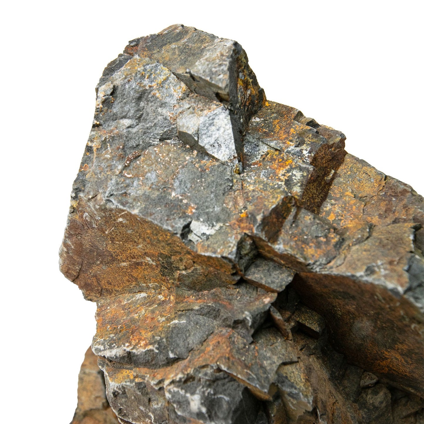 Aqpet Zen Stone Black Forest Roccia Naturale Per Arredo In Acquario
