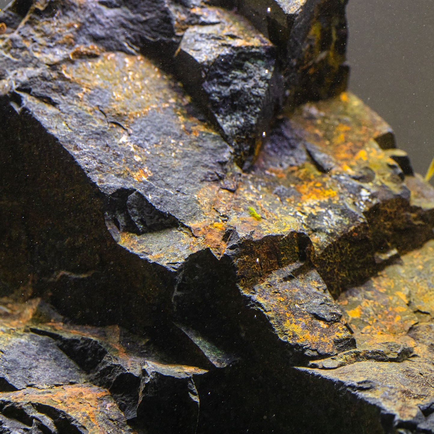 Aqpet Zen Stone Black Forest Roccia Naturale Per Arredo In Acquario