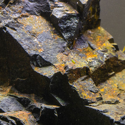 Aqpet Zen Stone Black Forest Roccia Naturale Per Arredo In Acquario