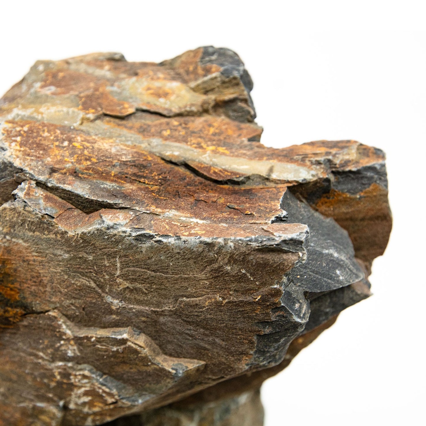 Aqpet Zen Stone Black Forest Roccia Naturale Per Arredo In Acquario