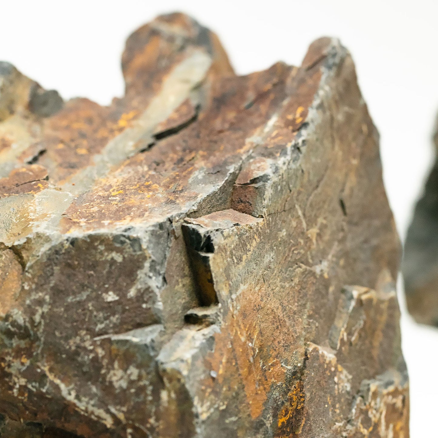 Aqpet Zen Stone Black Forest Roccia Naturale Per Arredo In Acquario