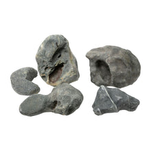 Aqpet Zen Stone Hakkai Roccia Naturale Per Arredo In Acquario