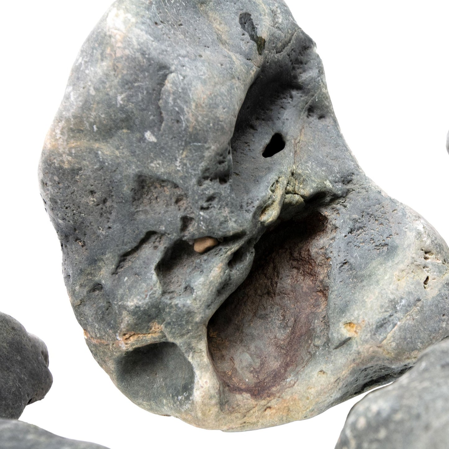 Aqpet Zen Stone Hakkai Roccia Naturale Per Arredo In Acquario