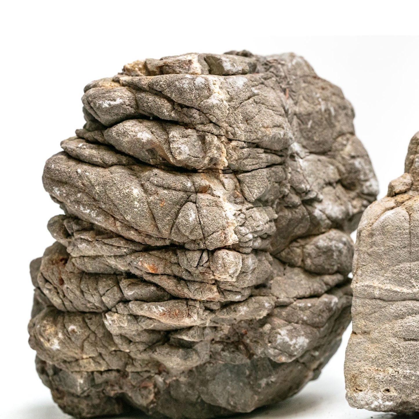 Aqpet Zen Stone Black Mountain Roccia Naturale Per Arredo In Acquario