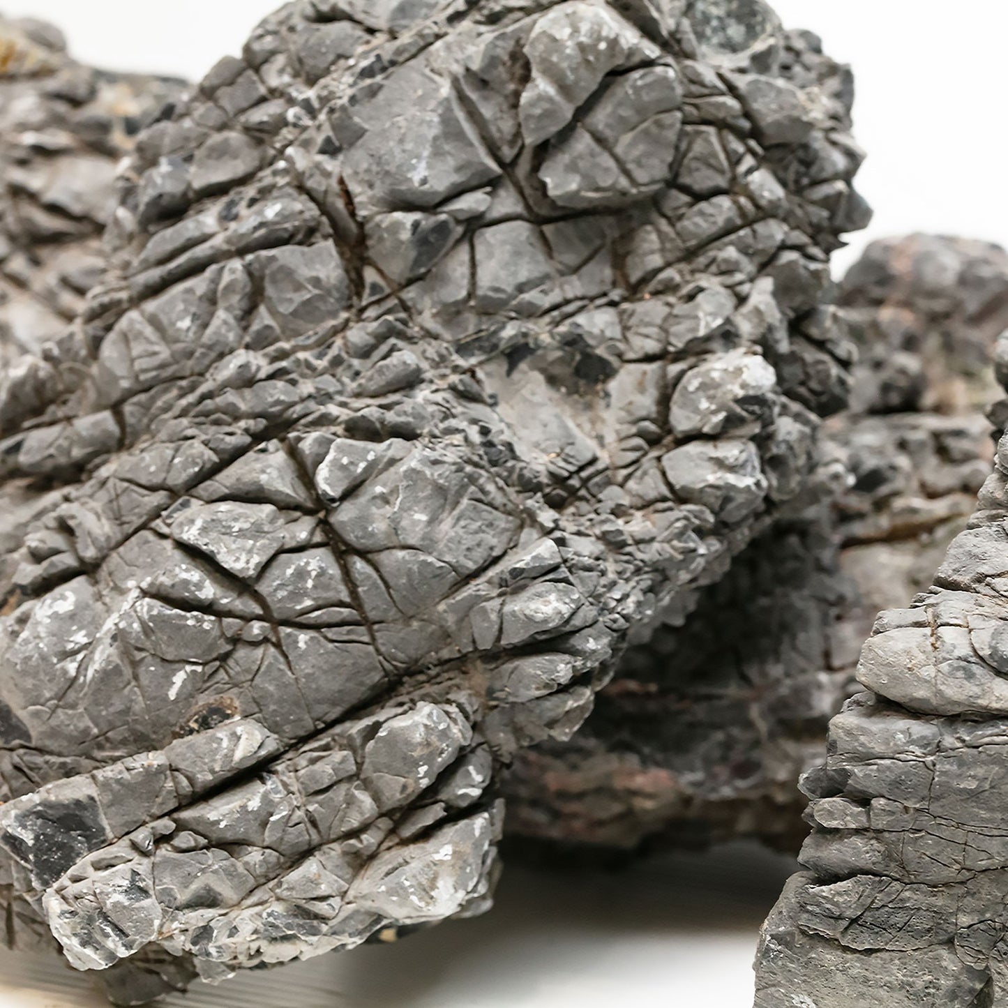 Aqpet Zen Stone Corners Roccia Naturale Per Arredo In Acquario