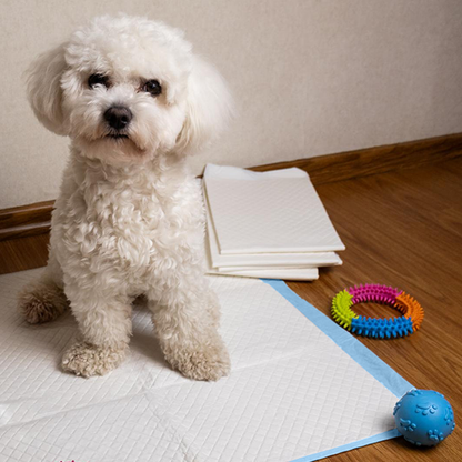 AqpetFriends Nappy Pet Basic Tappetino Assorbente Con Strisce Adesive 50 pz