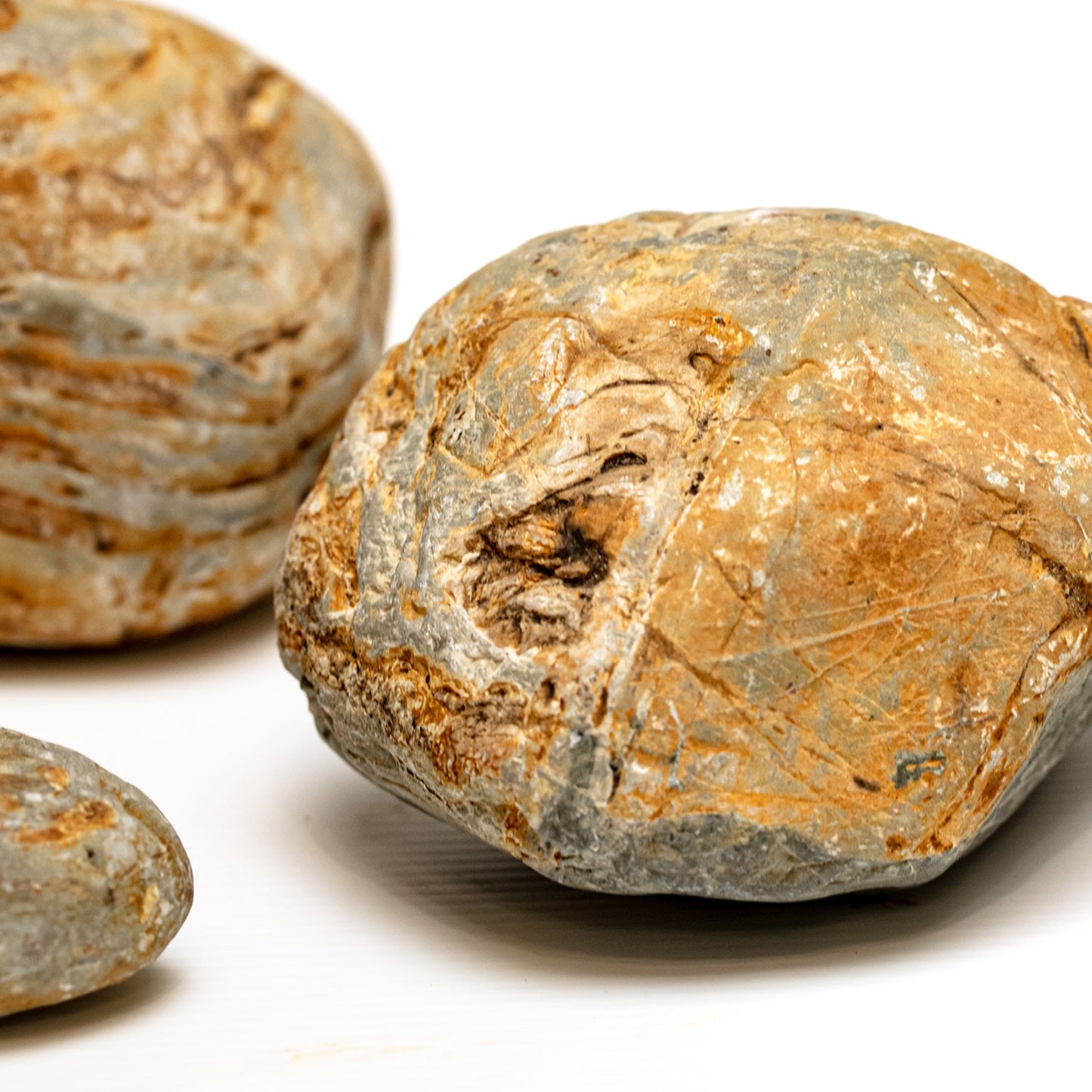 Aqpet Zen Stone Howloon Roccia Naturale Per Arredo In Acquario