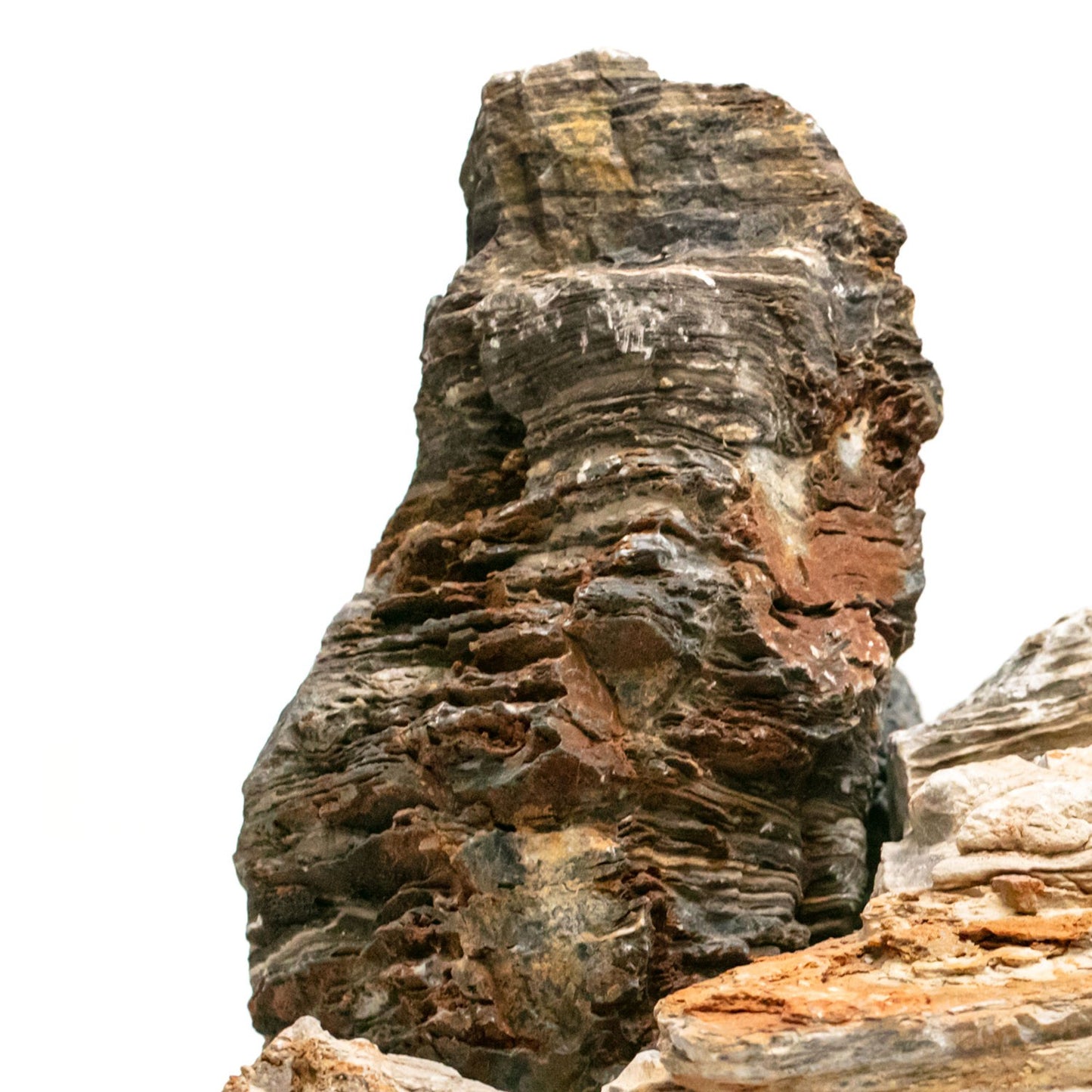 Aqpet Zen Stone Canyon Roccia Naturale Per Arredo In Acquario