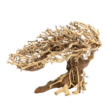 Aqpet Zen Bonsai Romantic Legno Naturale Per Arredo In Acquario