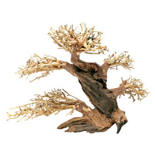 Aqpet Zen Bonsai Pine Legno Naturale Per Arredo In Acquario