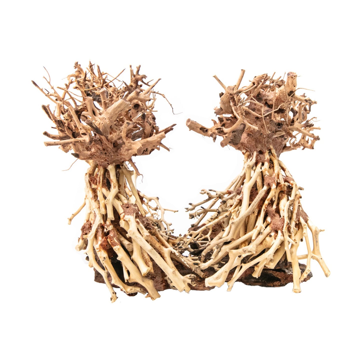 Aqpet Zen Bonsai Dancing Legno Naturale Per Arredo In Acquario