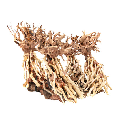 Aqpet Zen Bonsai Dancing Legno Naturale Per Arredo In Acquario