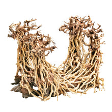 Aqpet Zen Bonsai Dancing Legno Naturale Per Arredo In Acquario
