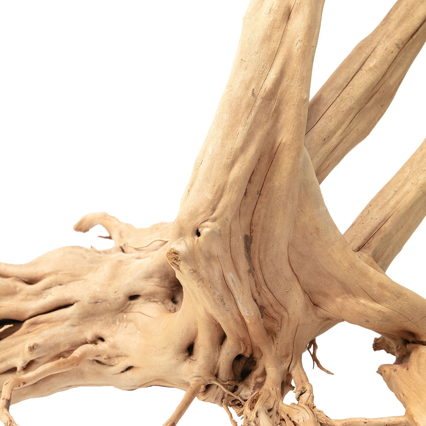 Aqpet Zen Wood Stump Legno Naturale Per Arredo In Acquario