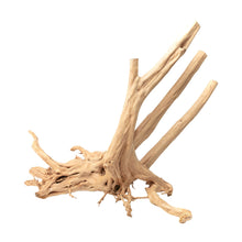 Aqpet Zen Wood Stump Legno Naturale Per Arredo In Acquario
