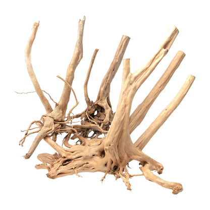 Aqpet Zen Wood Stump Legno Naturale Per Arredo In Acquario