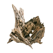 Aqpet Zen Wood Dragon Legno Naturale Per Arredo In Acquario