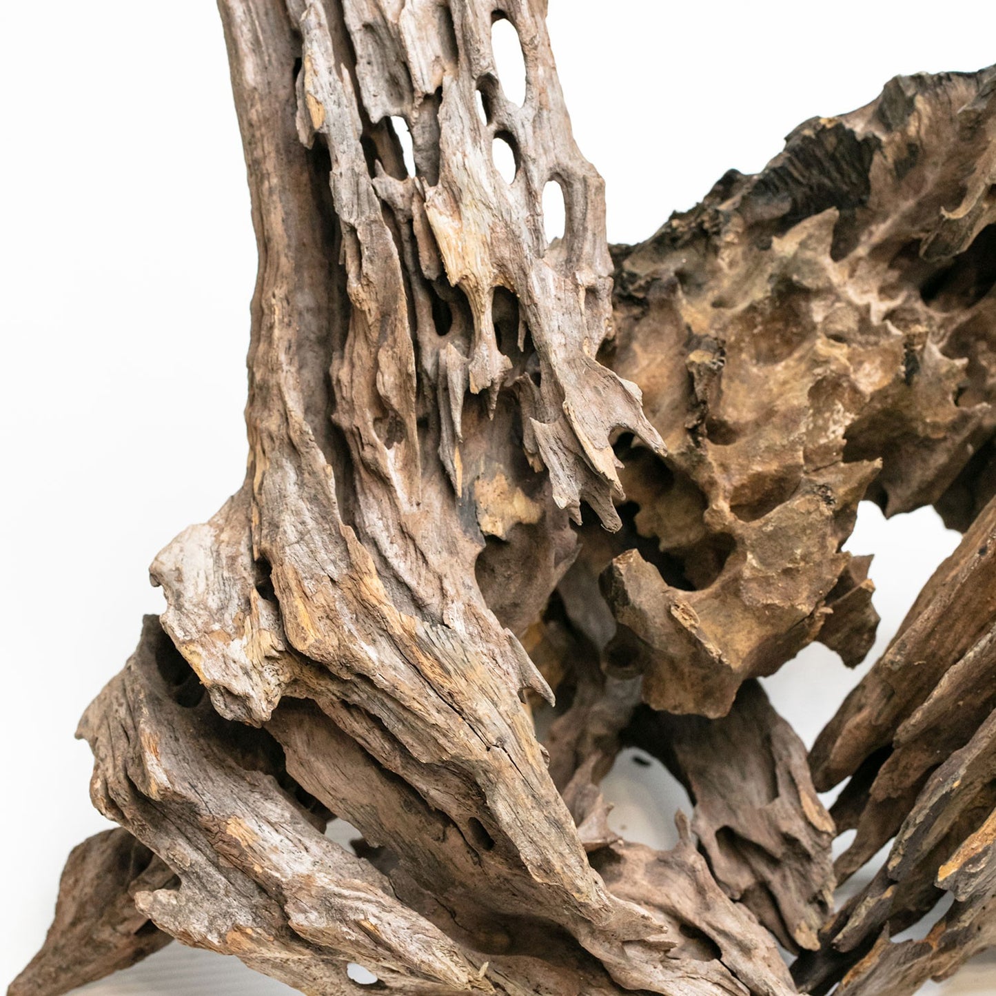 Aqpet Zen Wood Dragon Legno Naturale Per Arredo In Acquario