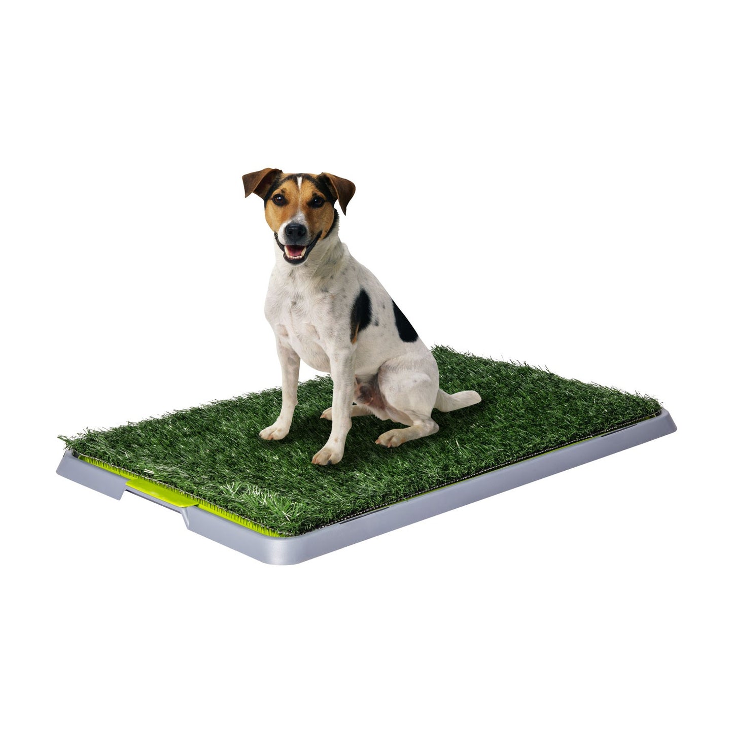 AqpetFriends DogLitter Lettiera Tappetino Con Erba Sintetica