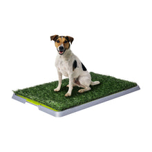 AqpetFriends DogLitter Lettiera Tappetino Con Erba Sintetica