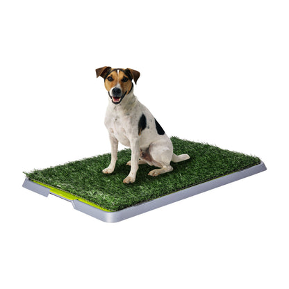 AqpetFriends DogLitter Lettiera Tappetino Con Erba Sintetica
