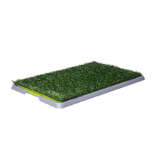 AqpetFriends DogLitter Lettiera Tappetino Con Erba Sintetica